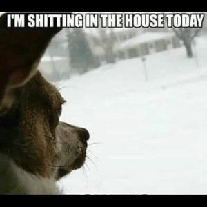 Meet your Posher, Becky